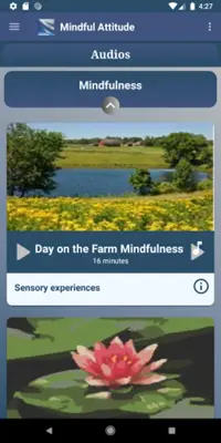 Mindful Attitude Qi Gong, Meditation, Relaxation android App screenshot 8